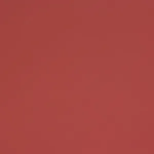 Blush Pink - Automotive Aerosol Spray Paint