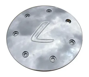 DIP L C10D22 WG-D22 LG Chrome Wheel Center Cap