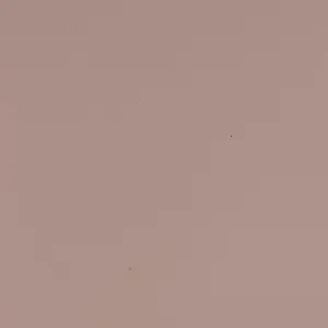 Light Mauve - Automotive Aerosol Spray Paint