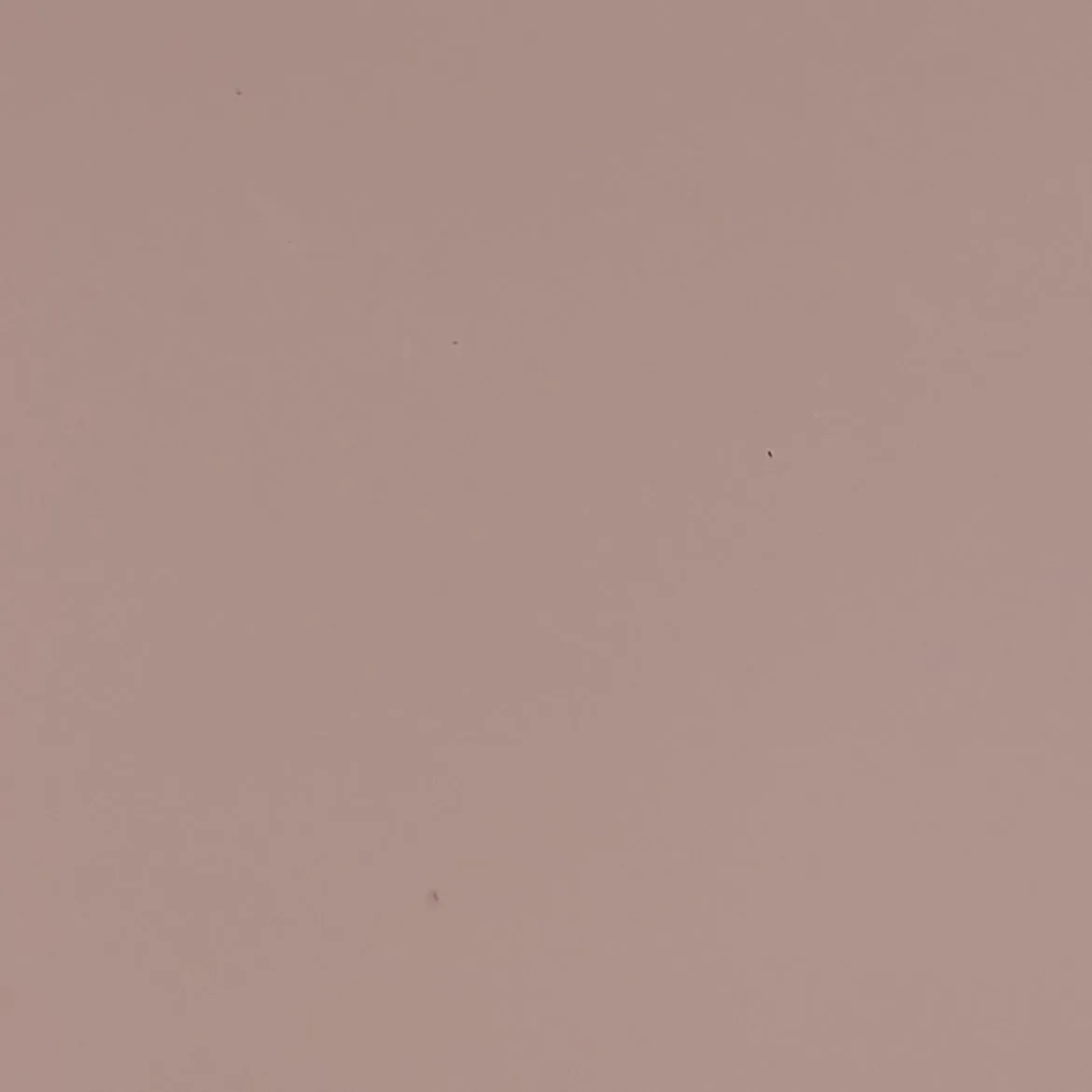 Light Mauve - Automotive Aerosol Spray Paint