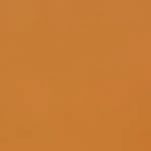 Pastel Peach - Automotive Aerosol Spray Paint