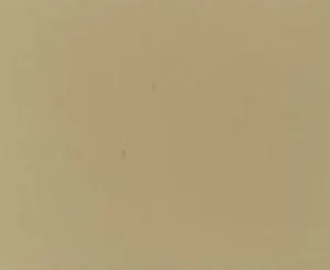 Sierra Beige - Automotive Aerosol Spray Paint